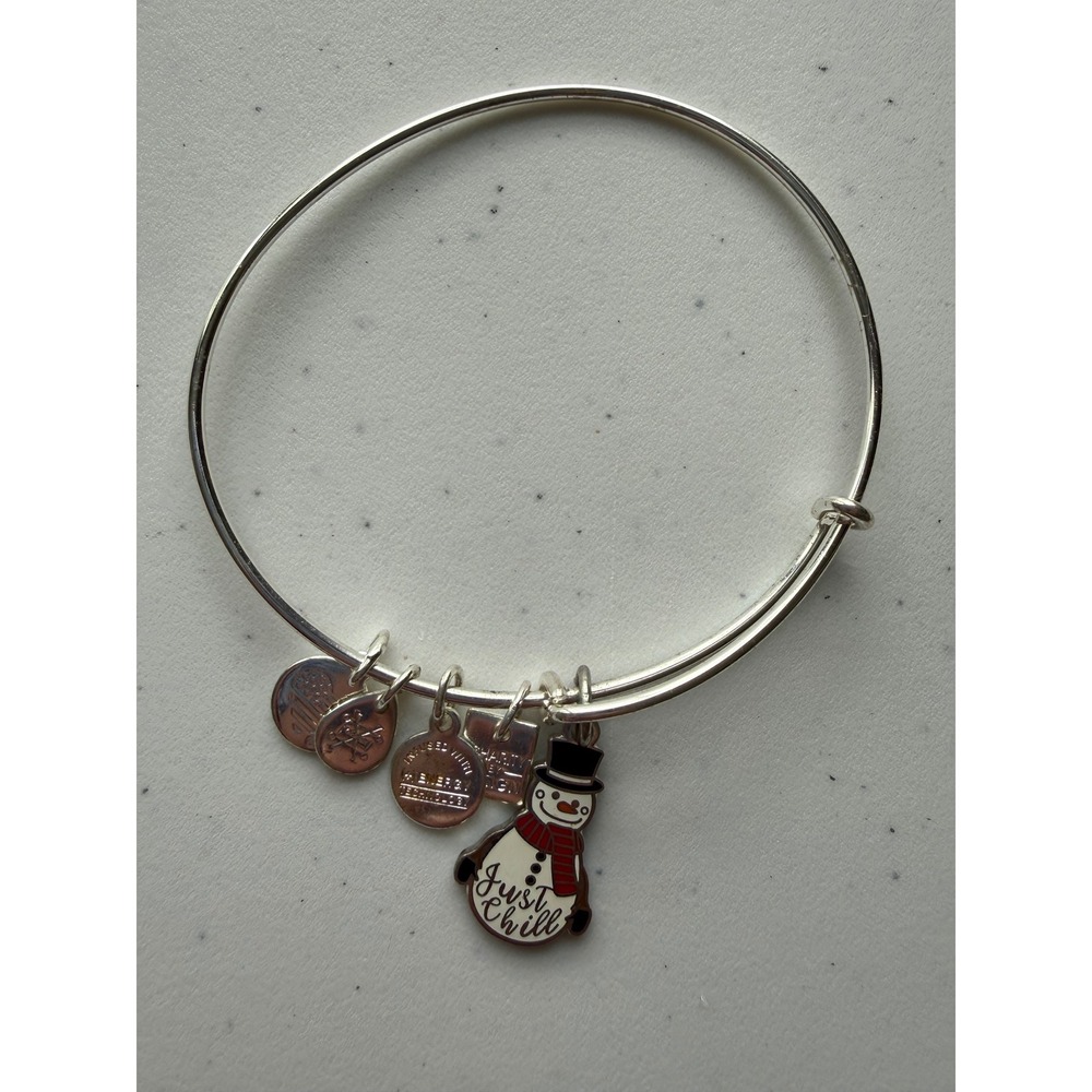 Alex and Ani Just Chill Holiday Enamel Snowman Bangle Bracelet Christmas Jewelry